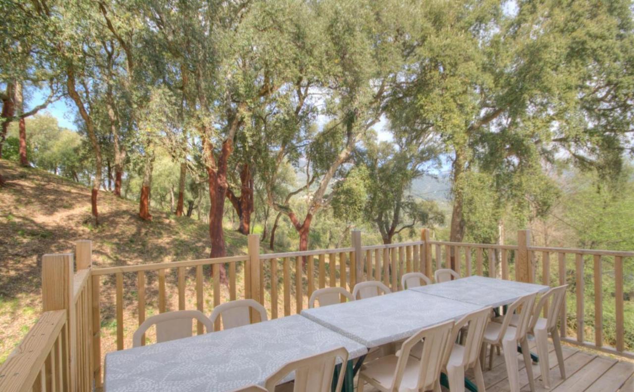 Gites Carbuccia En Corse Avec Piscine Chauffee Buitenkant foto