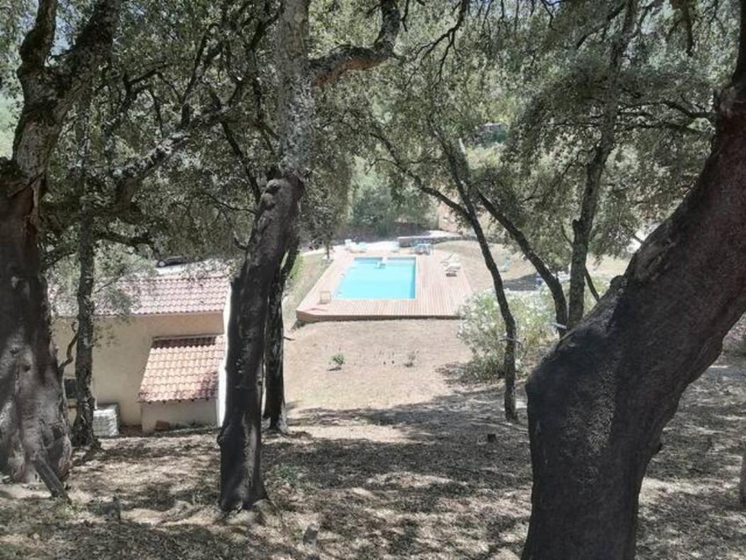 Gites Carbuccia En Corse Avec Piscine Chauffee Buitenkant foto